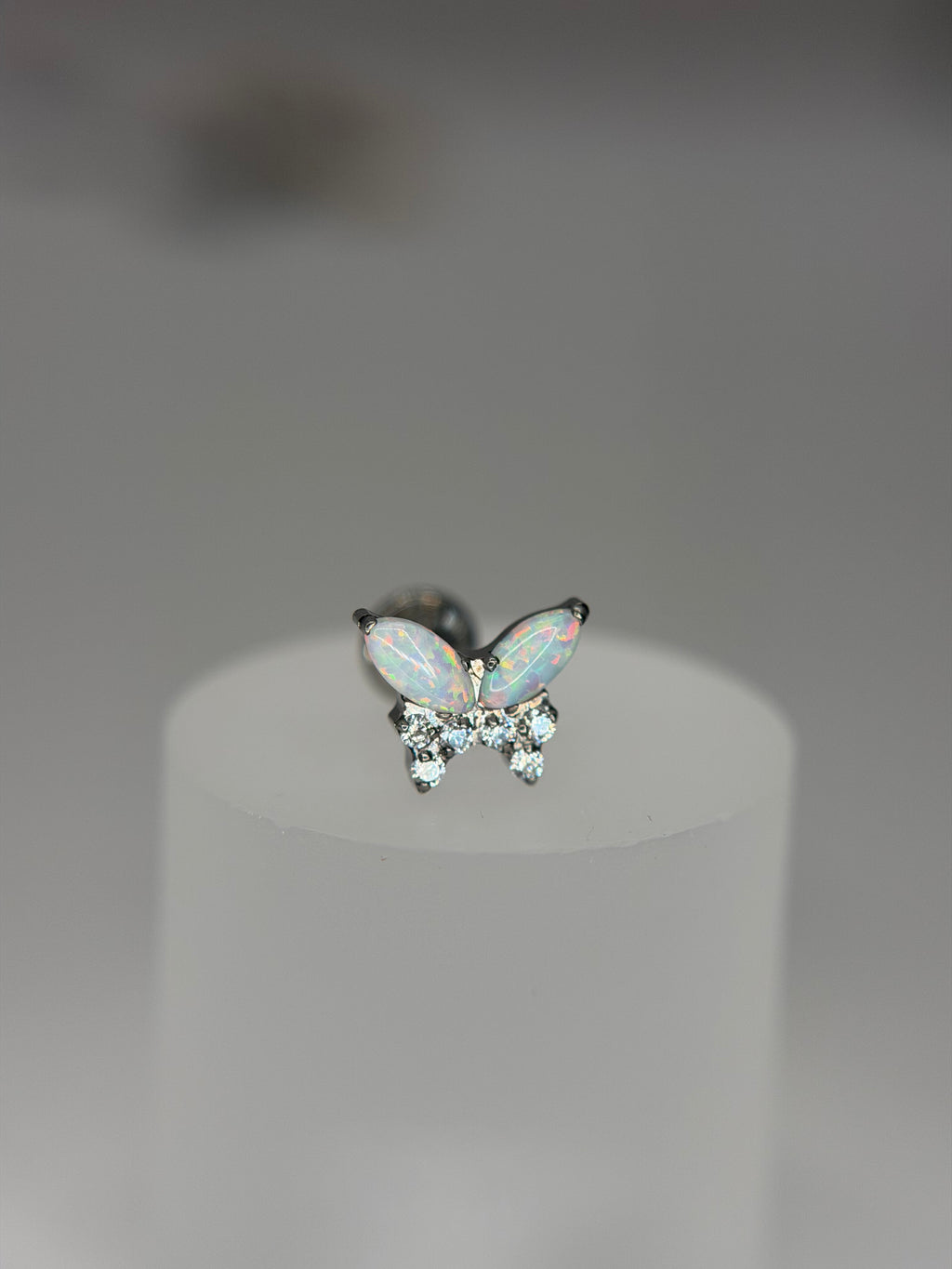 Labret  Titânio Borboleta opalla