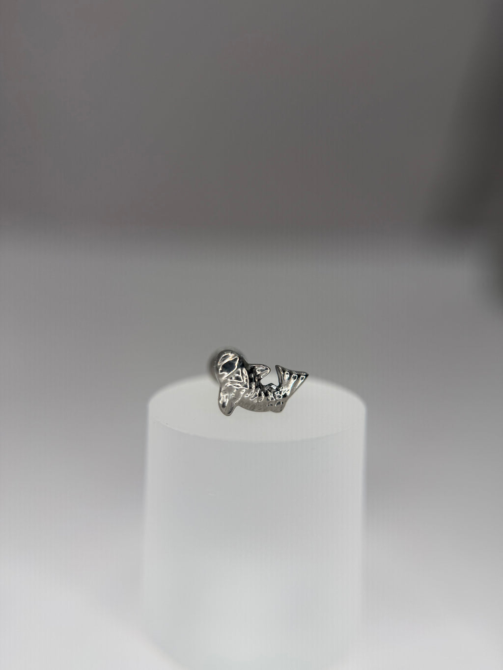 Labret Titânio carpa