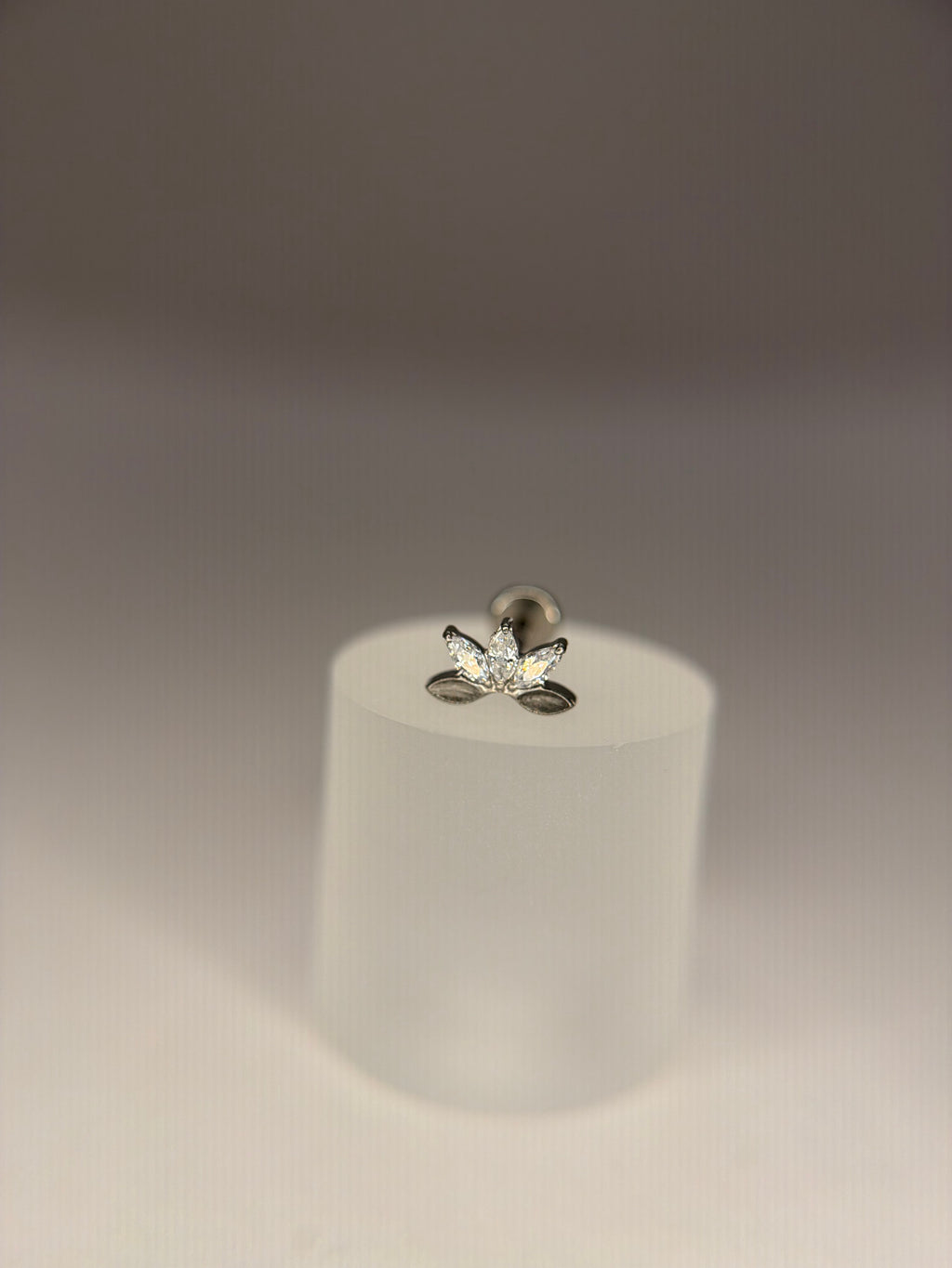 Labret navettes