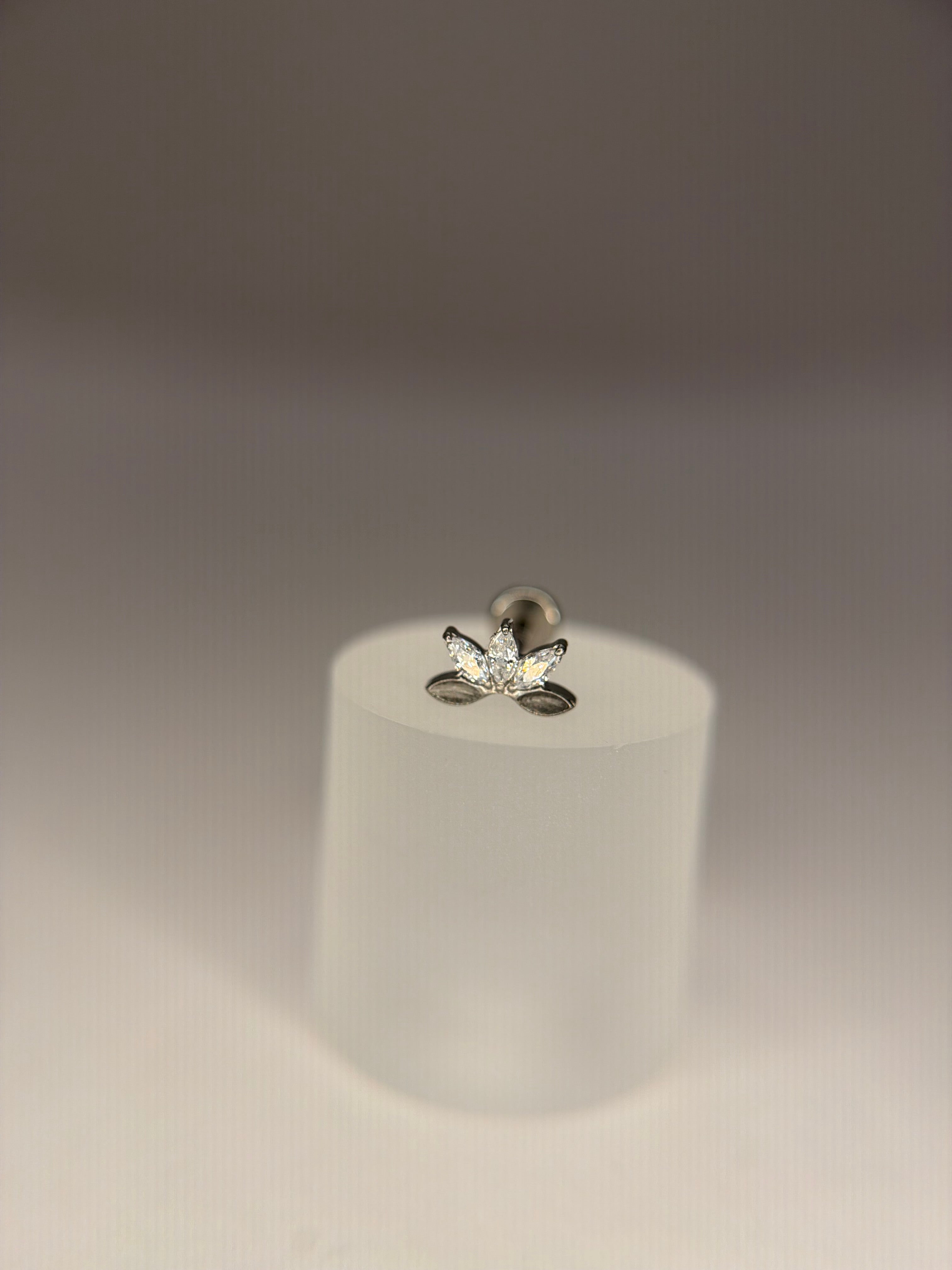 Labret navettes