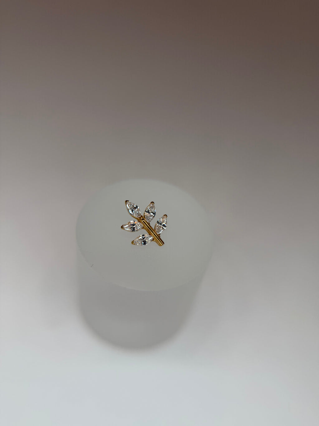 Labret Titânio ramo p