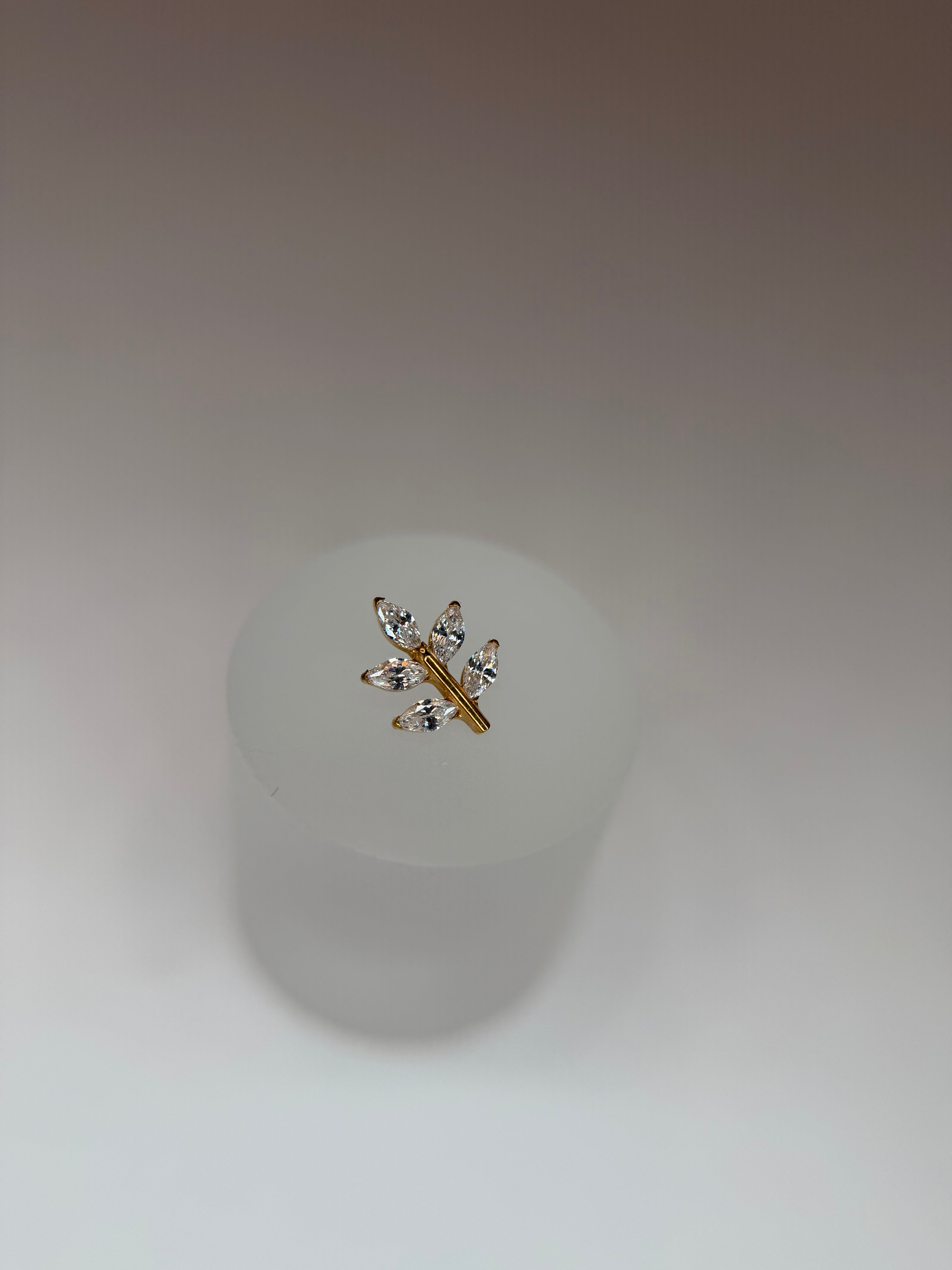 Labret Titânio ramo p