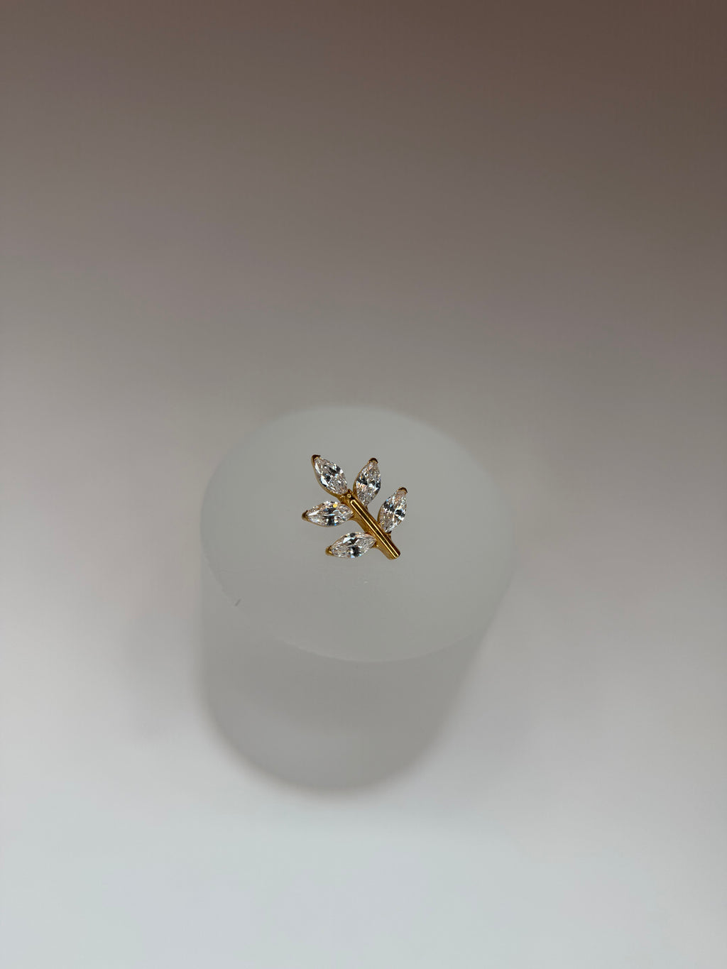 Labret Titânio ramo p