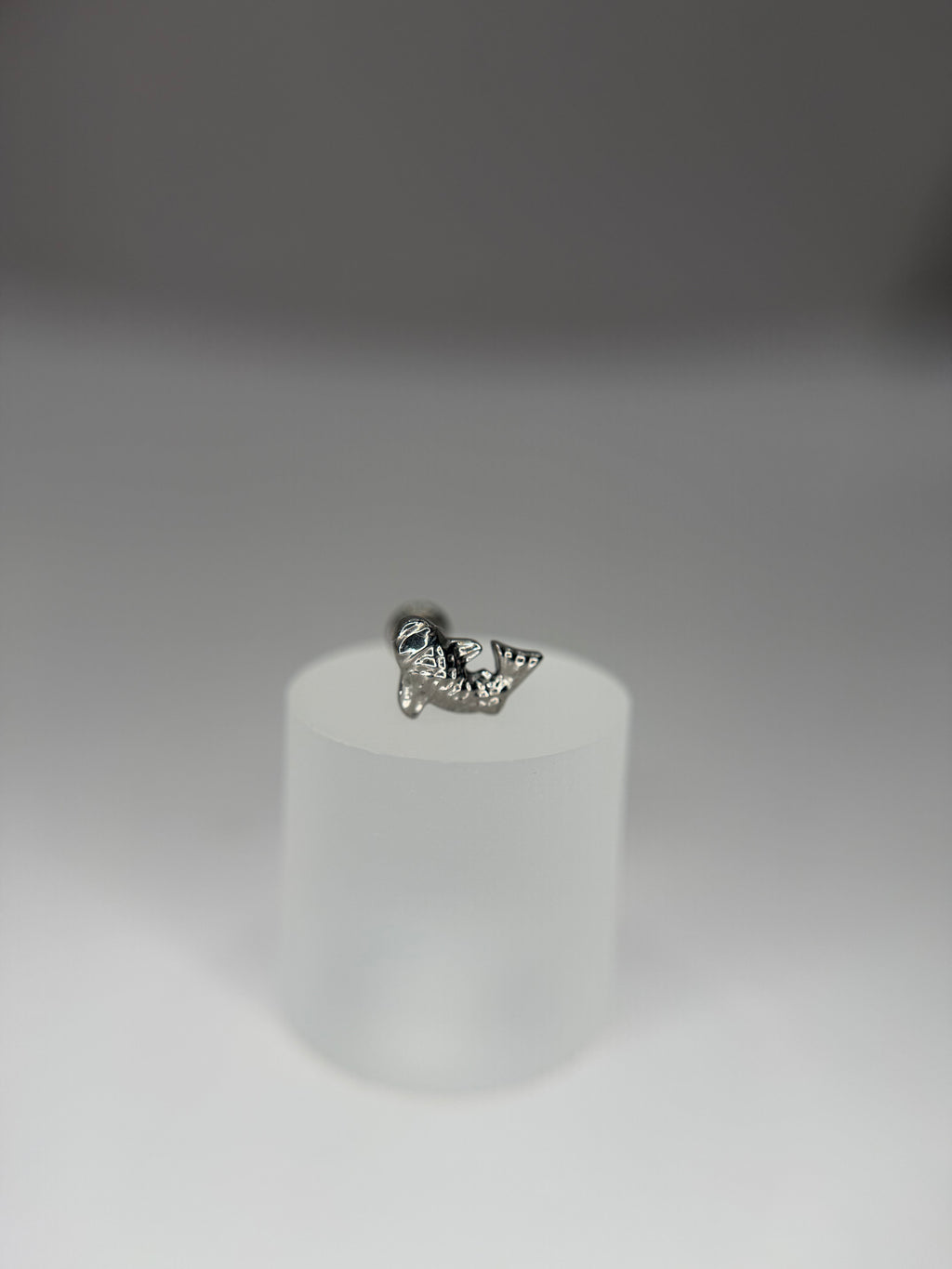 Labret Titânio carpa