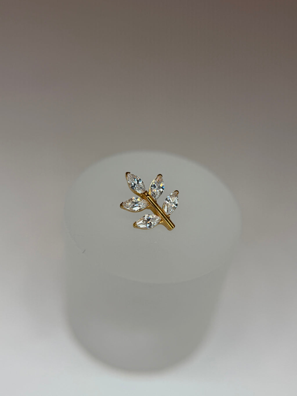 Labret Titânio ramo p