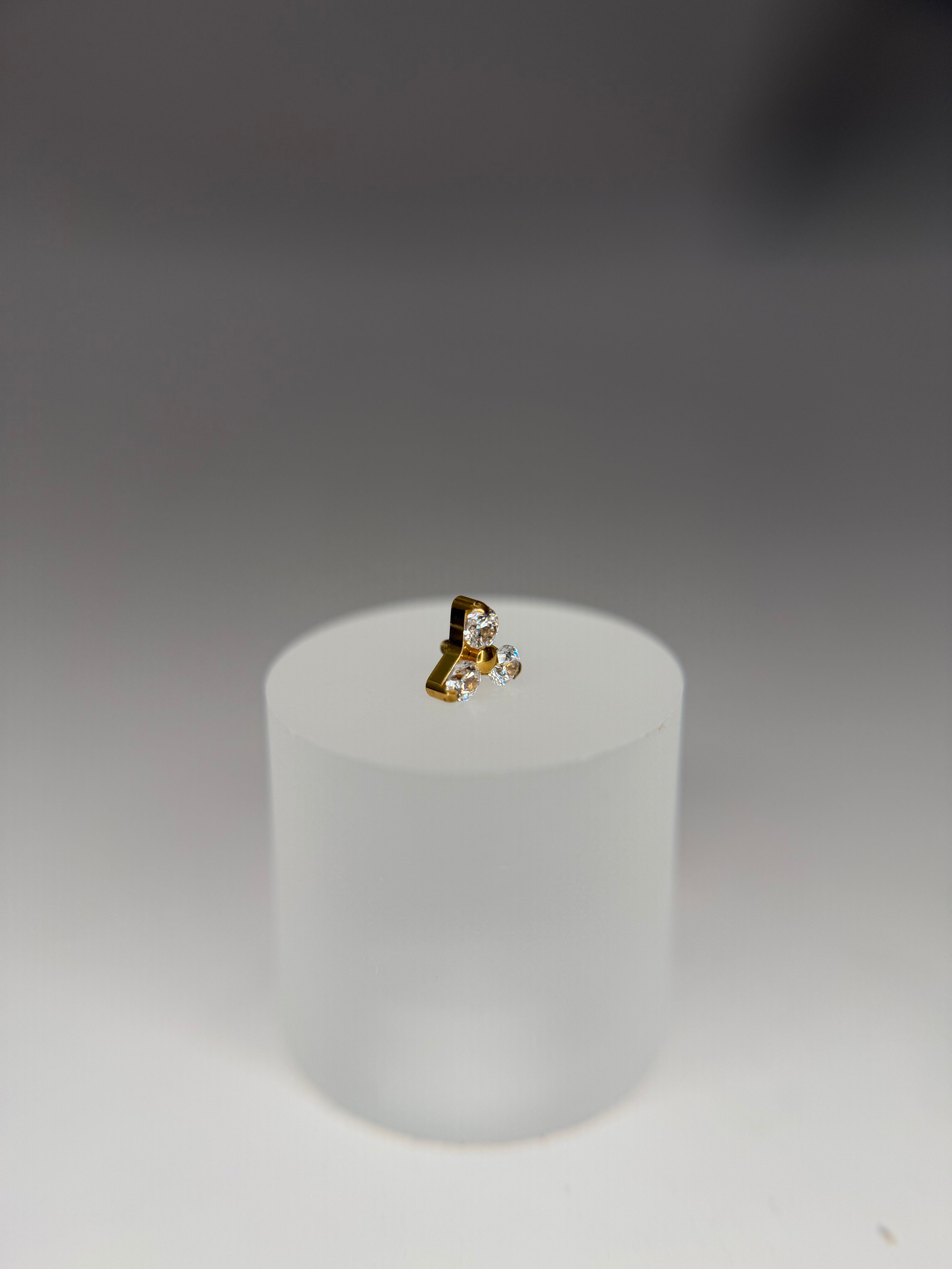 Labret Trinyt