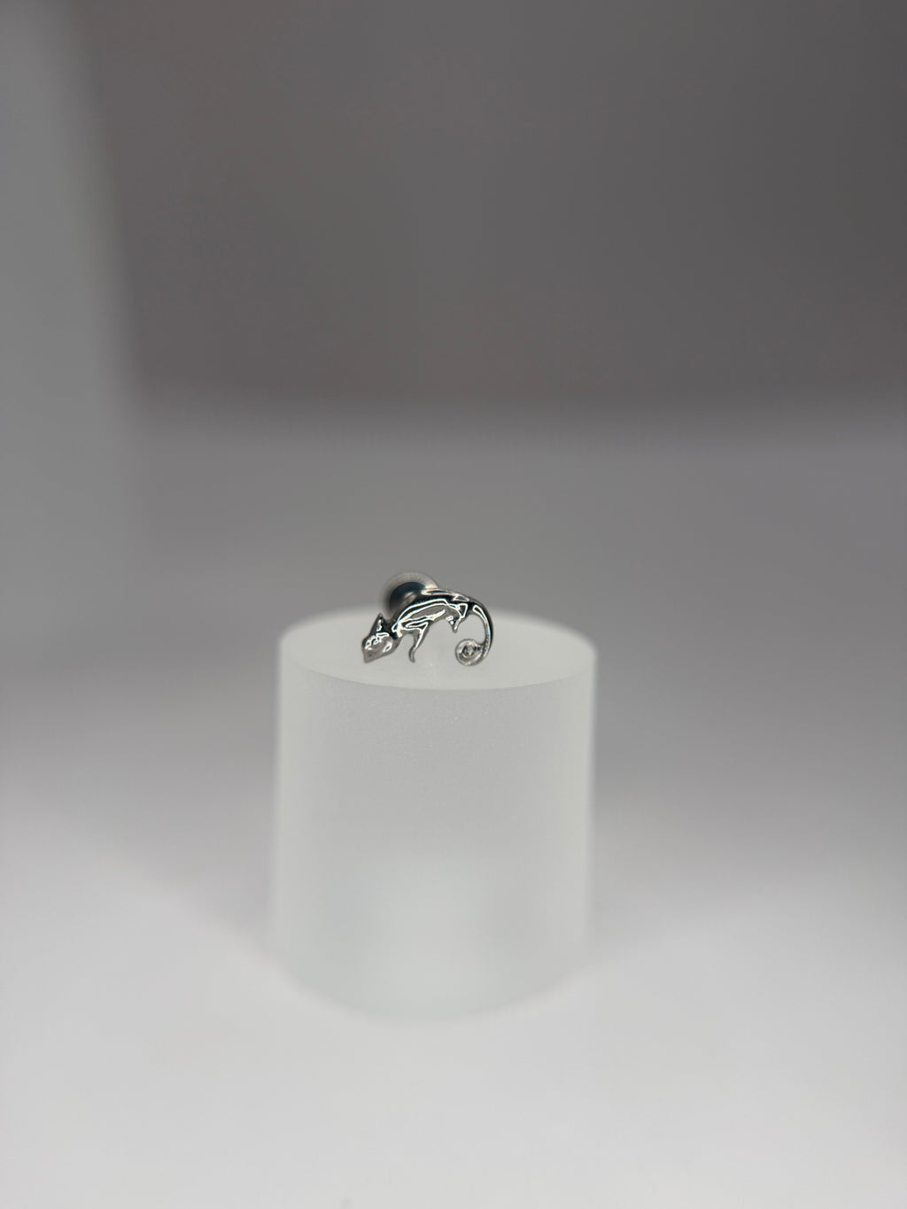 Labret Titanio camaleão
