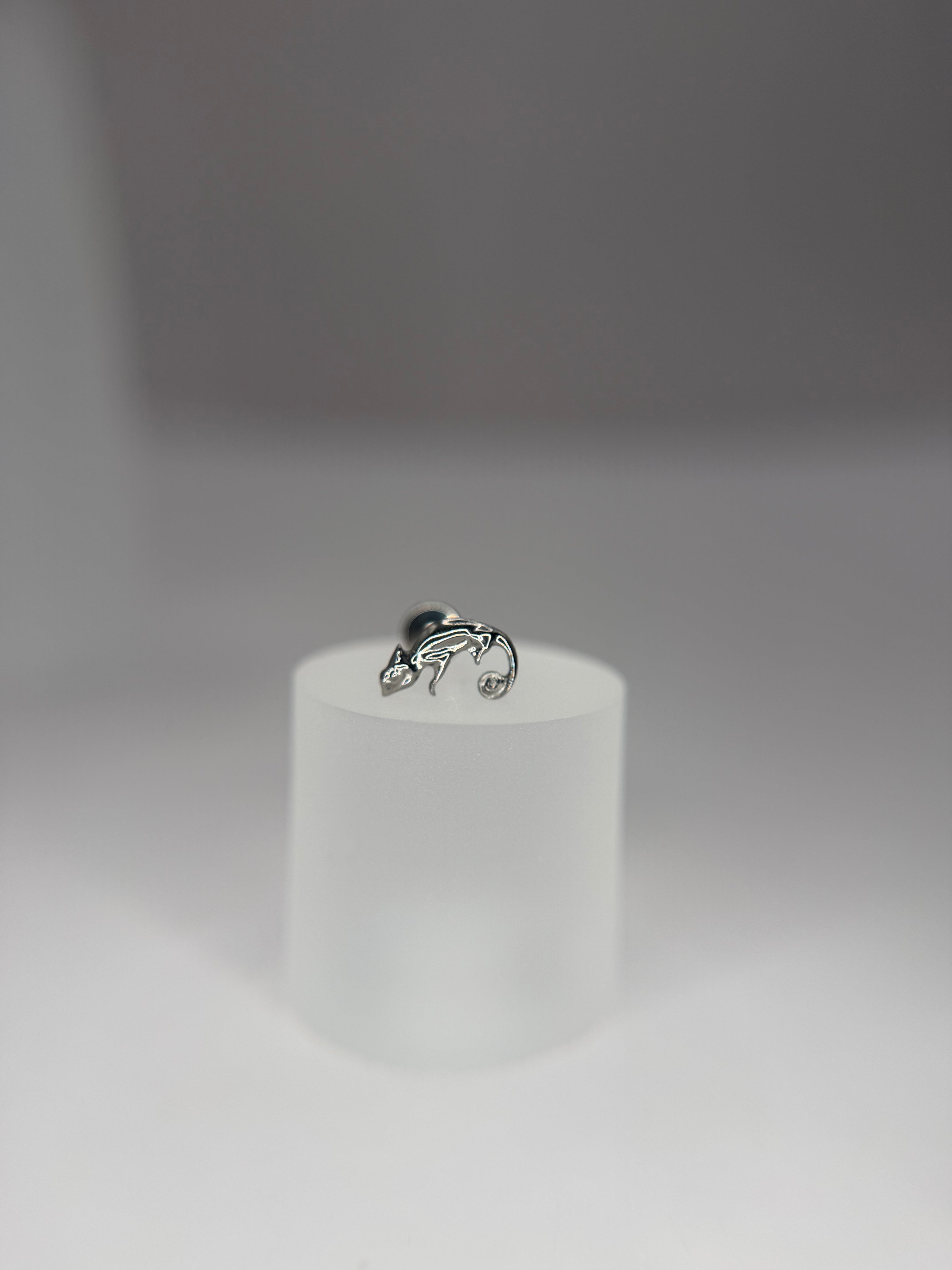 Labret Titanio camaleão